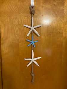 Colored Starfish Wall Hanging - Etsy