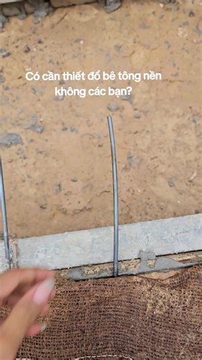 BIM CONCEPT trên TikTok