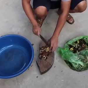 119K views · 3.7K reactions | Growing Vegetables in Plastic Containers for Clean, Family-Friendly Harvests  | DIY Balcony Garden | Facebook