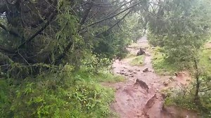 5.8K views · 18 reactions | Hiking Mount Entoto Every Sunday Morning. | Dawit Dreams | Facebook