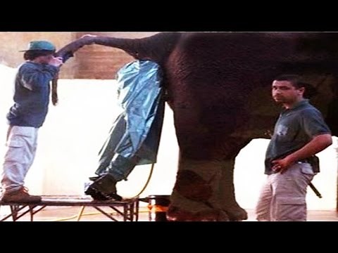 10 Worst Jobs In The World