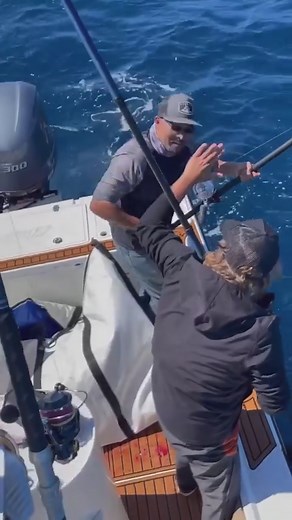 Promar Gaff doing its job! 👏🏼 Video by @wetwillyfishing #wetwillyfishing #fishing #sportfishing | Promar & Ahi USA