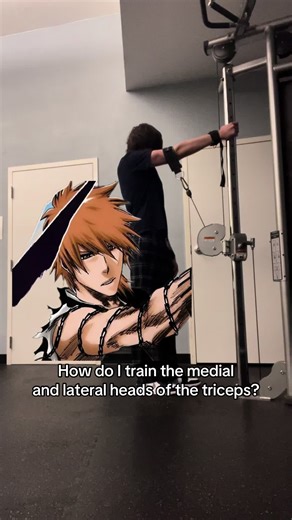 Effective Triceps Training Techniques for Hypertrophy