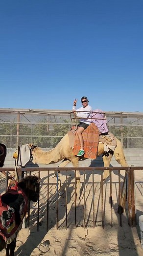 Safe naman nakababa ng Camel si Aldrino🫰 #CamelBackRiding #jawathapark #aldrinationVLOGS #fypspottedreels #filipinoinsaudiarabiacontentcreator | Aldrination
