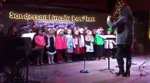 Carefree Christmas Preview Night! Get into the spirit! #sandersonlincolnpavilion | Town of Carefree