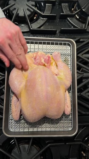 Chace Crawford's Sunday Chicken and The Boys Connection