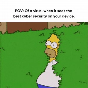 19 reactions | No viruses are allowed when Net Protector is on guard! #Meme #NetProtector #NPAV #VirusBanned | Net Protector | Facebook