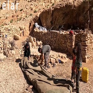 2.4K views · 20 reactions | The Beginning of the Migration Process The long Journey of Atabak Down the Mountain | Brunti Bivio | Facebook