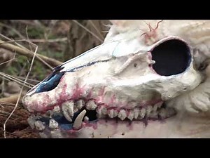 DIY Deer Skull Dragon Puppet. In forest