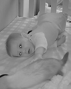 When naptime turns into playtime! 🥰🐣 | The Pet Collective