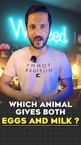Which animal gives both eggs and milk ? | Waleed Malik World