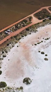 Lipson is a town on the Eyre Peninsula, located only 12 km from Tumby Bay. Lipson Cove a beach in Lipson is a picturesque beach where the sand is soft and golden, with crystal clear waters, making it a perfect spot for swimming, sunbathing, and beachcombing. Lipson Cove is a beautiful beach with several camp sites and vehicle access to the beach. The Lipson Cove campground is on the online bookeasy platform, it’s Only $10 per night 🙌 #southaustraliabeaches 🎥 citizensofthesun (IG) | South Austr