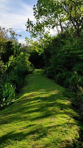 Alpenhaus Bier und Gasthaus on Reels