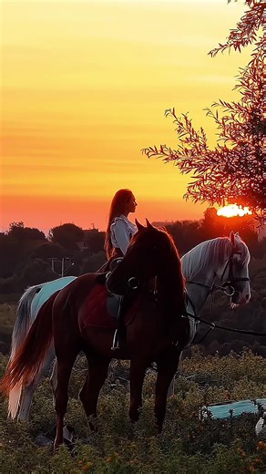 ‏#اسد_الفلوجة👑 #محمد_بن_راشد #tiktok #تيك_توك #تصميمي #ستوريات #CapCut