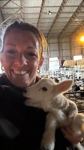 Feeding time at the zoo!! Goodness me the girls can make a racket when it’s breakfast time 🤣 The ewes all get nuts and the orphans are having a bottle of milk 🍼 #feed #breakfast #farming #livestock #nuts #bottle #lamb #milk | Foxburrow Farm Shop