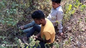 Indian Threesome Gay - A unique story of a boy raising sheep and goats in the forest and an unknown person - in Hindi