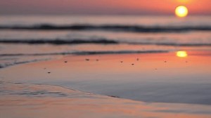 Red Sand Beach Sunset Slow Motion Stock Footage Video (100% Royalty-free) 3889918587 | Shutterstock