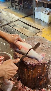 11K views · 31 reactions | Large Rita Fish Cutting | Sharp Knife Skills #fblifestyle #tuesday #tuesdayspecial #tacolove #margaritas #bigfish #fishcut #localmarket #fishcutting #usa #usafood #canada #tacodeal #tuesdayspecials #dessertrecipe #taconight #lowcarbrecipe #foodpromotion | Fish Cutting Show | Facebook