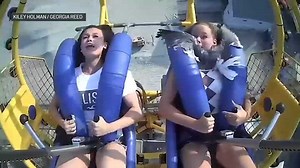 Viral video shows a seagull flying into the face of a teen girl on a ride on the Wildwood, New Jersey, boardwalk. http://nbc4dc.com/3kEr1jj | NBC Washington