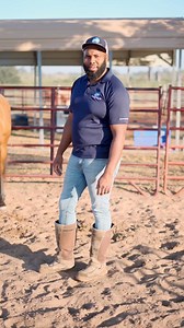 Meet Pisa, our 12 year old Andalusian mare #HorseOwnership #HorseTips #HorseTraining #Horses #BeautifulHorses | Steady Horse