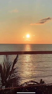 Witnessed a beautiful Florida sunrise. #sunrise #nature #naturephotography #sunset #photography #landscape #travel #sun #photooftheday #sky | Gammage Video | Facebook