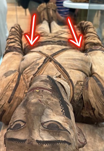 Unveiling the Egyptian Mummy at the British Museum