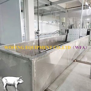 [Hot Item] Good Service Sow Abattoir Slaughter Line Pig Slaughtering Equipment Machinery