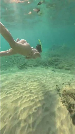 amazing hot bikini milf woman diving #africa #brasil #china #dance #russia #trend #viral #beauty
