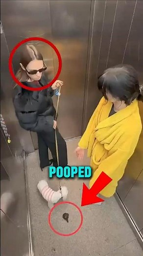 What Did This Little Girl Do With the Dog’s Poop? 💩😱