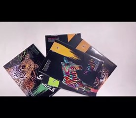 DESINIK Scratch Painting Art for Adults & Teens - 2 Sheets Rainbow Scratch Painting Kit, Scratch Painting Foil Art for Adults, Stress Relief Adult Craft Kits A3(Deer & Elephant)