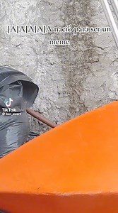 Jalo jala jala jala #gatos #gatodivertido | Business Dog