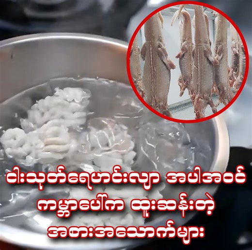 11K views · 539 reactions | လူတွေစားကြတဲ့ ကမ္ဘာပေါ်က ထူးထူးဆန်းဆန်း အူယားစရာ အစားအစာများ | Interest Knowledge | Facebook