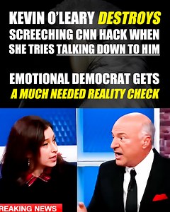 194K views · 10K reactions | Kevin O'Leary DESTROYS screeching CNN hack when she tries talking down to him | PolitiBrawl | Facebook