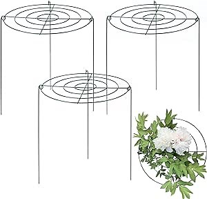 3 Pack 16 x 24 Inch Peony Support Cage Peony Ring Hoop Grow Through Plant Supports for Outdoor Plants Grow Through Grid Peony Stakes