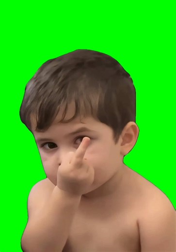 Showing bird meme green screen #meme #greenscreen #funnymeme #greenscreenmemes #workmeme