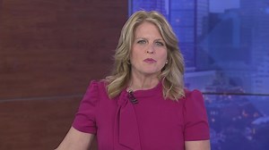 Bill passes to defund Kinsey Institute