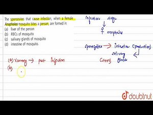 The sporozoites that cause infection, when a female Anopheles mosquito bites a person,