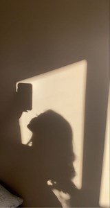 Never underestimate the power of nano tip extensions... 懶 @meghancresswell wears shade Rooted Ombre Bronde in our 20" length ✨ #BigHairDreams Stylist: @hairbypr_ Salon: @project_u_beautyandwellness | Milk & Blush | Facebook