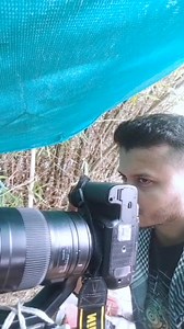 24 reactions · 10 comments | Asian Paradise Flycatchers . . . #reel #reels #everyone #highlights #reelsvideo #reelsviral #asianparadiseflycatcher #wildlifephotography #natgeowild #trending #wildlife #nikonphotography #nikonphotographer #bird #birds #birding | Arindam Sarkar | Facebook