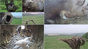 14K views · 1.5K reactions | Robert E Fuller on Reels | Facebook