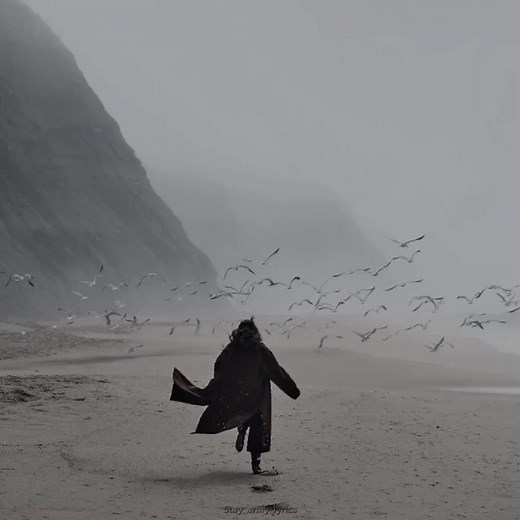 ♫︎ Sᴛᴀʏ_Aʀᴍʏ_Lʏʀɪᴄs ☾︎ on TikTok