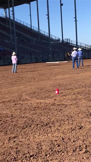 A different view of cowboy In ground handling class | Missouri Mule Makeover/Ozark Mule Days
