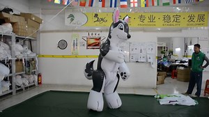 Hongyi Inflatable Suit Inflatable Whale Costume Squeaky Animal Pool Toy Can Breath Under Water