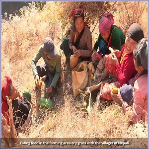 34 reactions | Eating food in the farming area dry grass with the villager of Nepali. | Villager Nomadic | Facebook