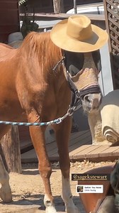 Booboo Stewart Fanpage on Reels