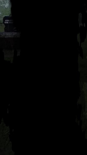 You Won't Believe What We Caught!! - Hillcrest Cemetery #fypシ #reelsfacebook #reelsfypシ #paranormal #paranormalactivity #investigation | Cryptic Curiosity