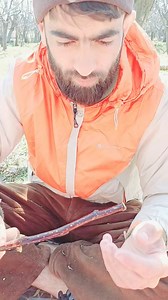 29K views · 249 reactions | How to Sharp a bending Stick For Grafting . | The Streets Of Kashmir | Facebook