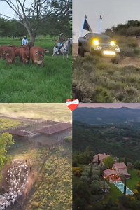 84K views · 2.9K reactions | A trabajar duro, porque hombre flojo no monta caballo fino, ni goza de mujer bonita. ❤️ | Campo y ganadería | Facebook