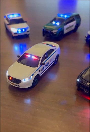 Custom Police Cars with Working LED Lights Showcase