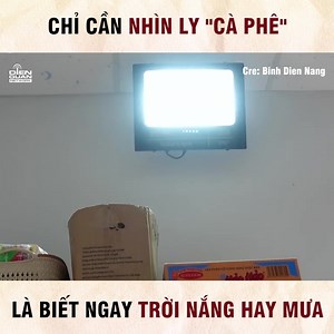 41K views · 580 reactions | Nhìn phát biết ngay trời mưa hay nắng liền --- Bản quyền thuộc về Binh Dien Nang, được quản lý bởi Điền Quân Group #DienQuanNetwork #BinhDienNang | DIEN QUAN Network | Facebook